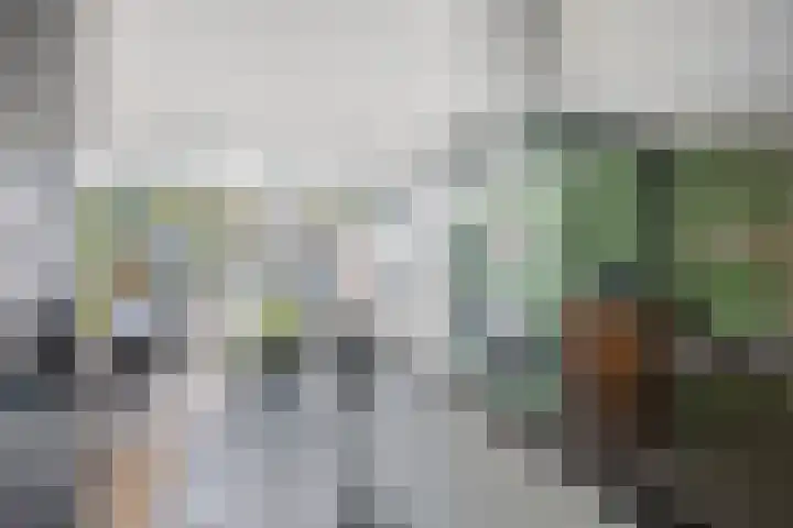 Koolenstraat 11 Oss thumbnail 7