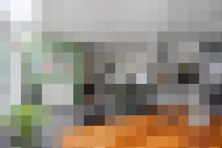 Koolenstraat 11 Oss thumbnail 8