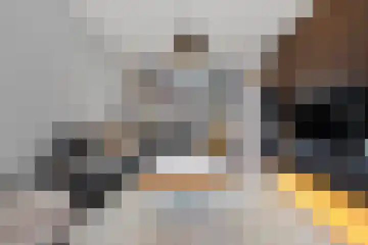 Koolenstraat 9 Geleen thumbnail 12