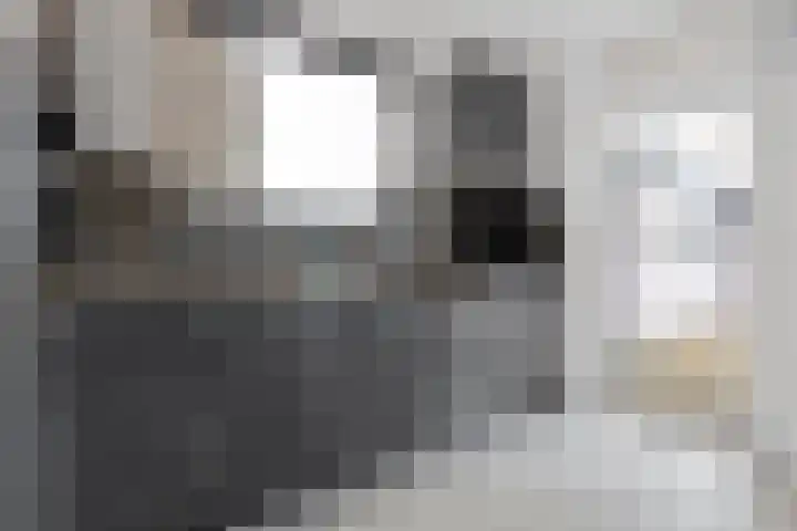 Koolenstraat 9 Geleen thumbnail 16