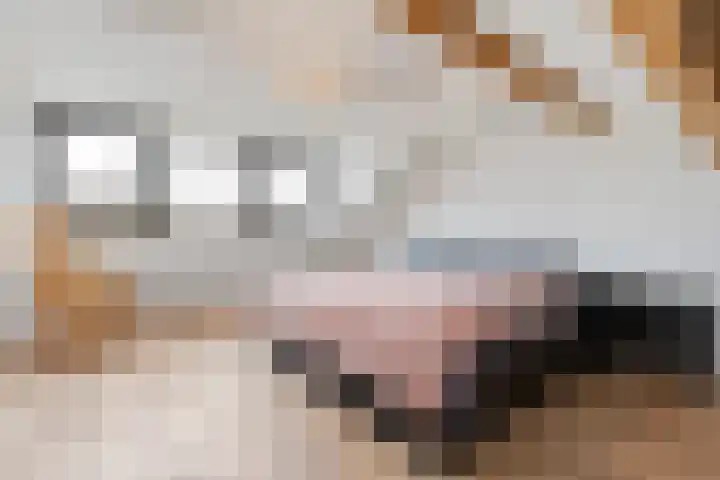 Koolenstraat 9 Geleen thumbnail 4