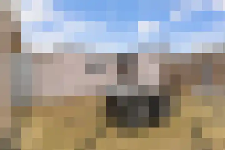 Koolenstraat 9 Geleen thumbnail 40