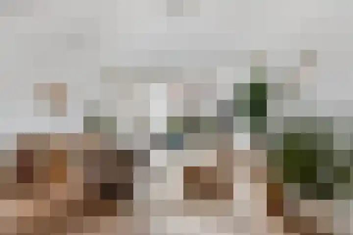 Koolgracht 11 in Leiden