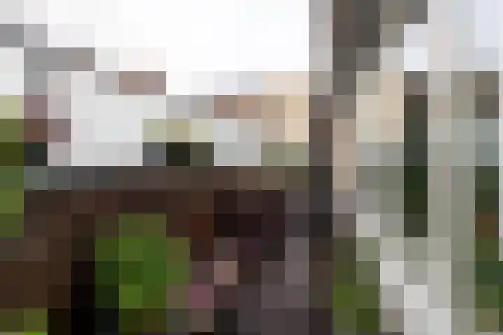 Koolgracht 11 Leiden thumbnail 17