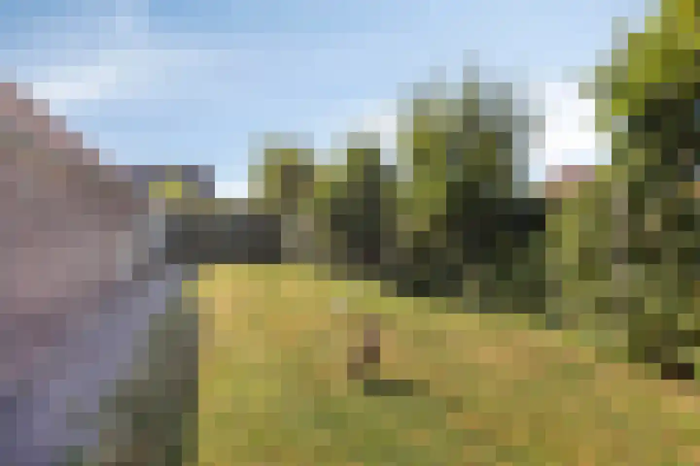 Koolhaaspark 28 Nijkerkerveen thumbnail 5