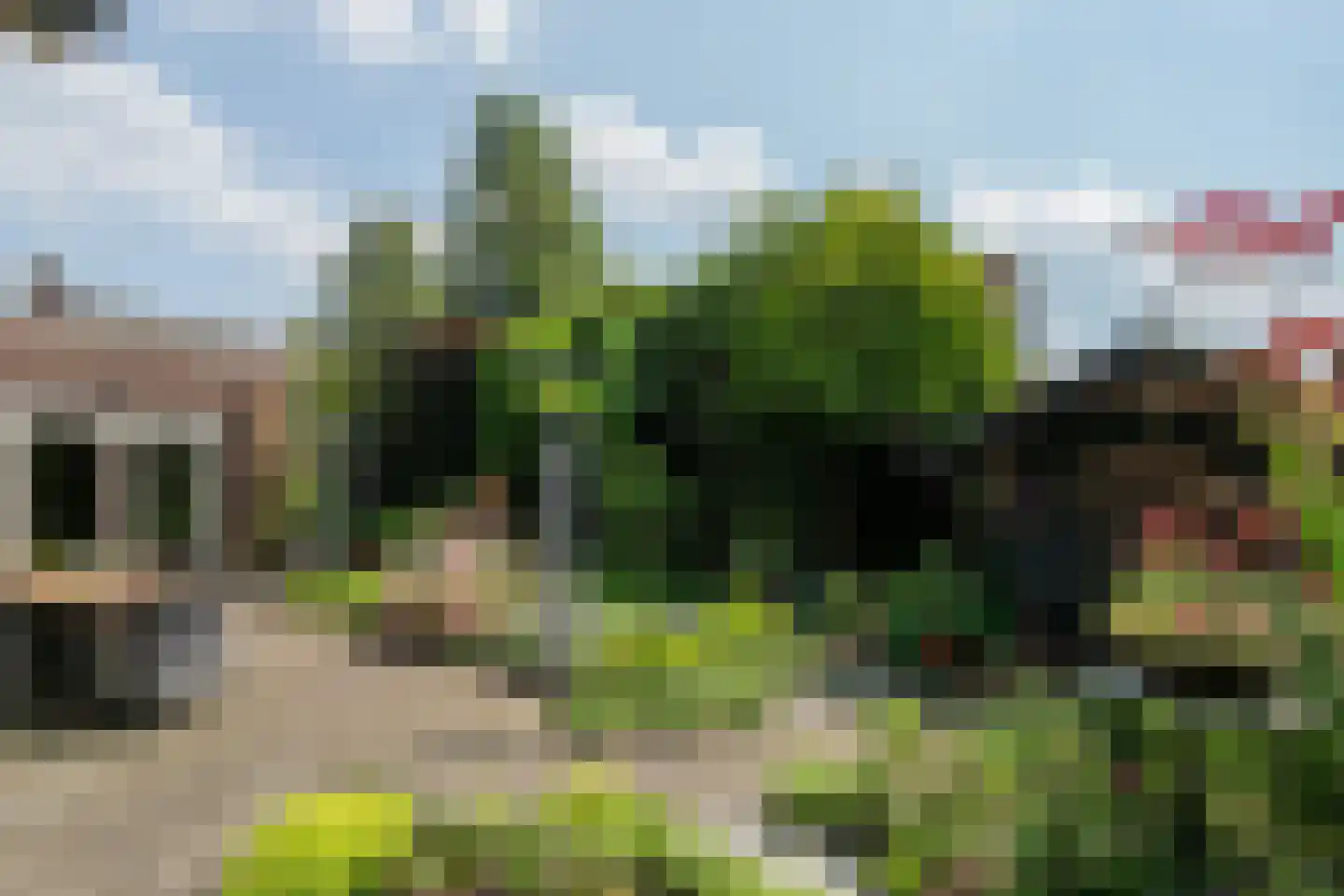 Koolhof 45 De Mortel thumbnail 35