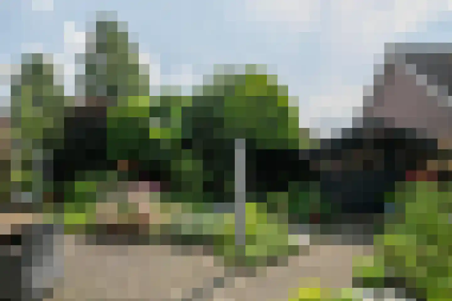 Koolhof 45 De Mortel thumbnail 36