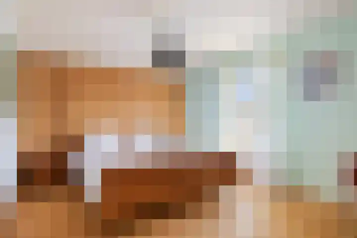 Koolhof 45 De Mortel thumbnail 4
