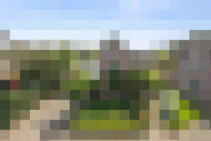 Koolhof 45 De Mortel thumbnail 41