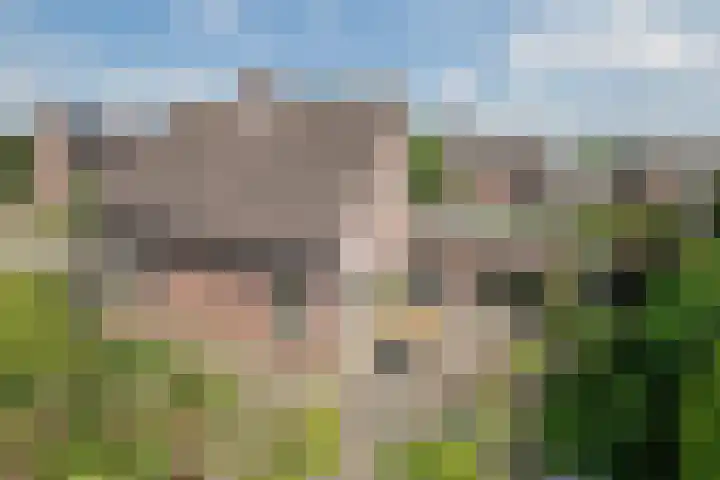 Koolhof 45 De Mortel thumbnail 43