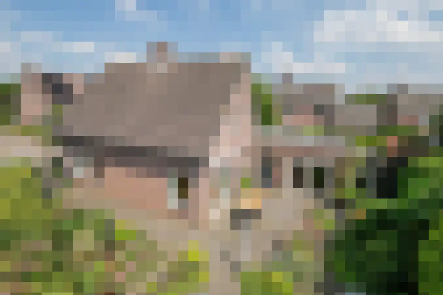 Koolhof 45 De Mortel thumbnail 43