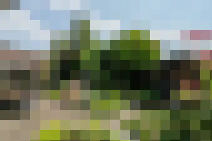 Koolhof 45 De Mortel thumbnail 5