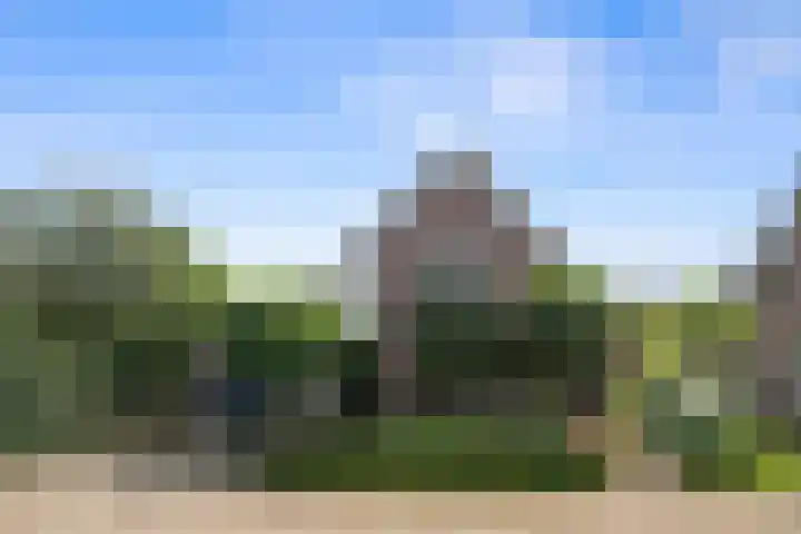 Koolhof 45 De Mortel thumbnail 7