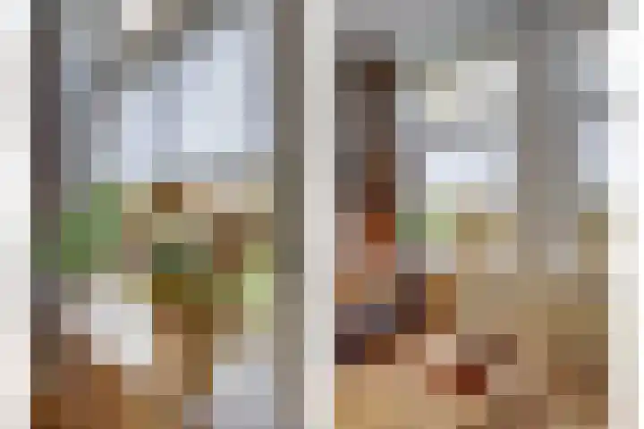 Koolhof 8 Hulsel thumbnail 10