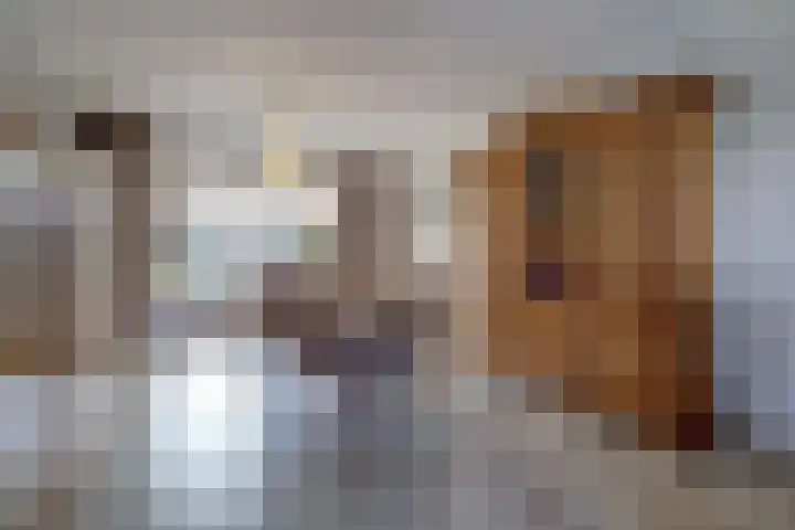 Koolhof 8 Hulsel thumbnail 12