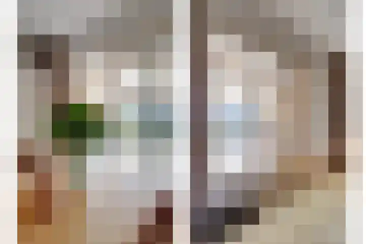 Koolhof 8 Hulsel thumbnail 13