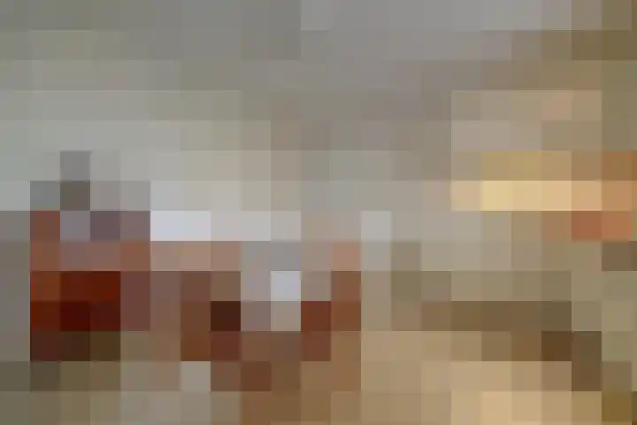 Koolhof 8 Hulsel thumbnail 15