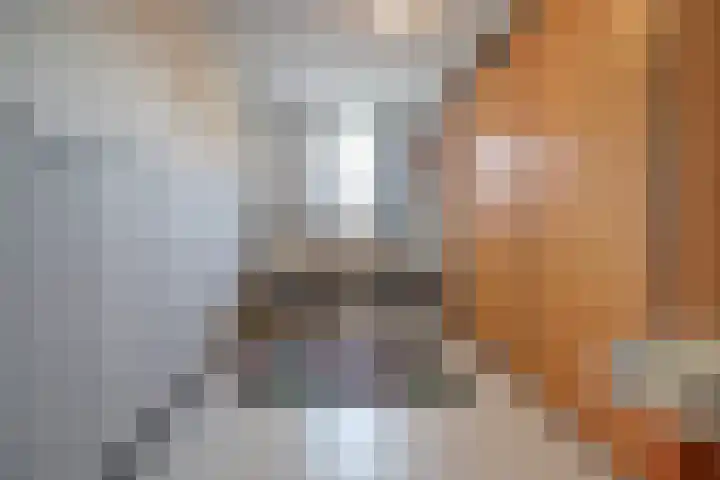 Koolhof 8 Hulsel thumbnail 18