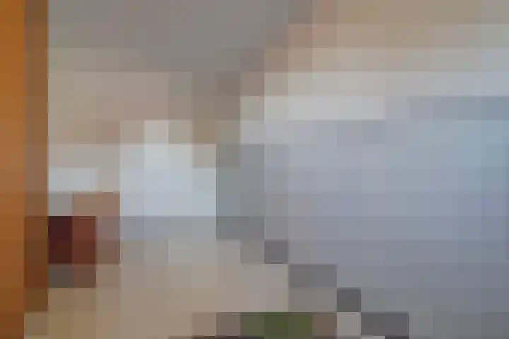 Koolhof 8 Hulsel thumbnail 19
