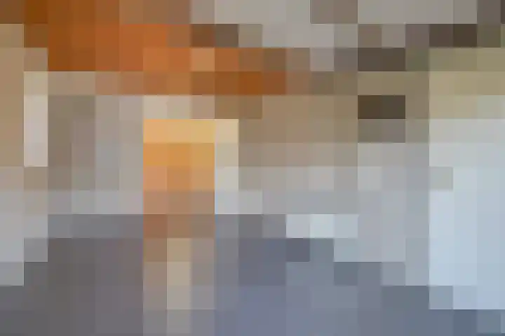 Koolhof 8 Hulsel thumbnail 23