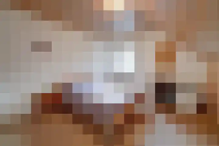 Koolhof 8 Hulsel thumbnail 27