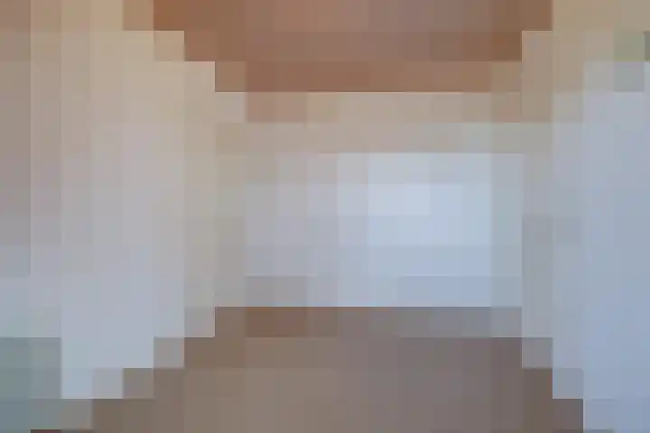 Koolhof 8 Hulsel thumbnail 30
