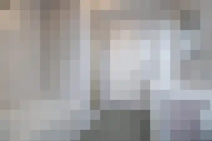 Koolhof 8 Hulsel thumbnail 33