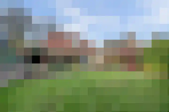 Koolhof 8 Hulsel thumbnail 34