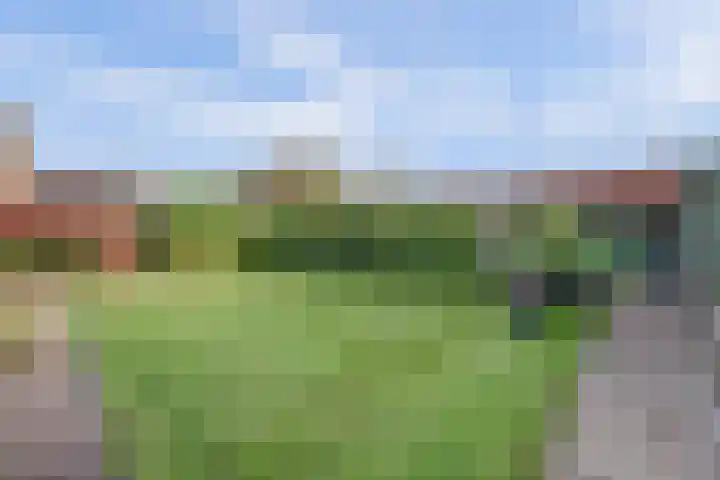 Koolhof 8 Hulsel thumbnail 35