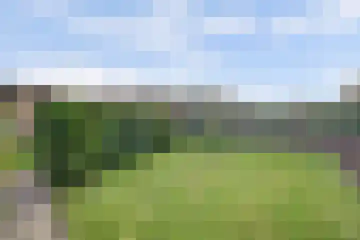 Koolhof 8 Hulsel thumbnail 37