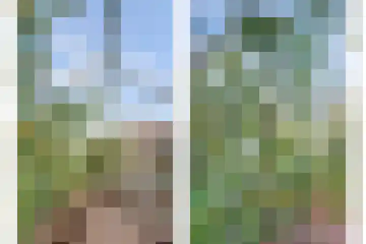 Koolhof 8 Hulsel thumbnail 38