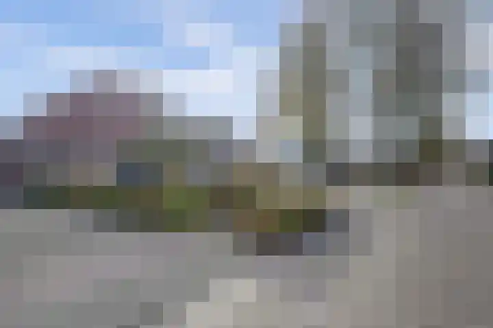 Koolhof 8 Hulsel thumbnail 4