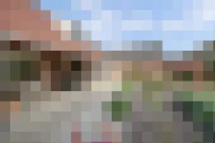 Koolhof 8 Hulsel thumbnail 40