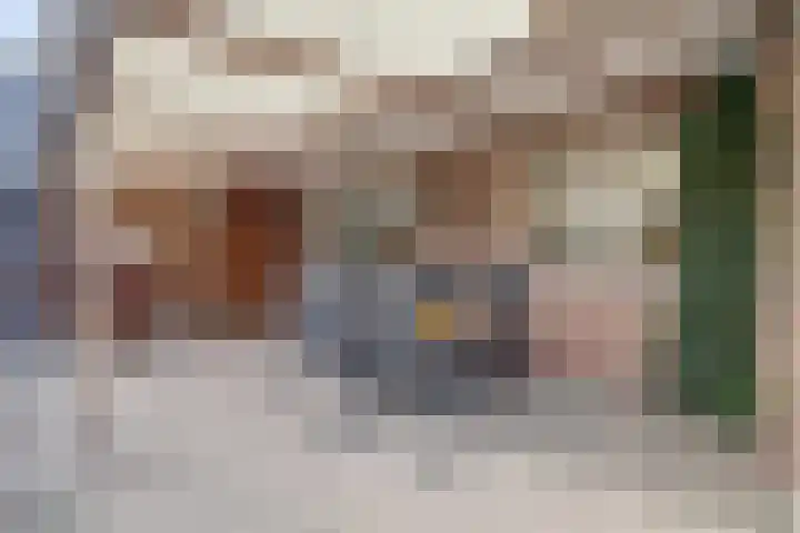 Koolhof 8 Hulsel thumbnail 41