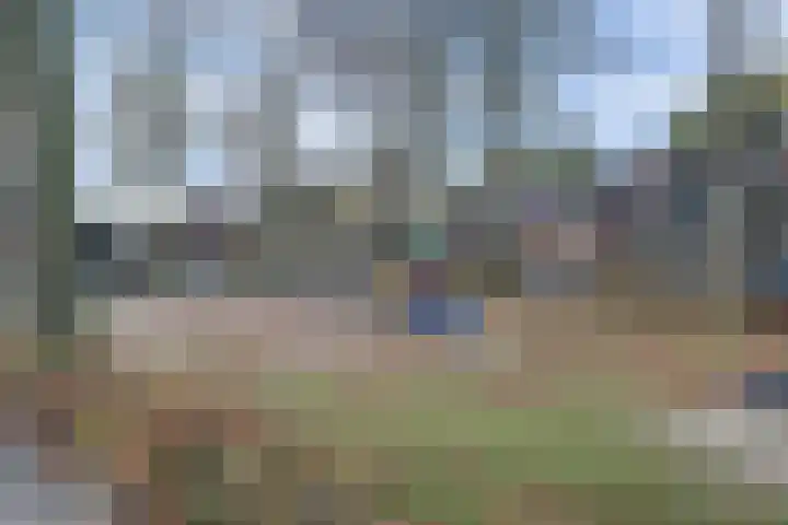 Koolhof 8 Hulsel thumbnail 42
