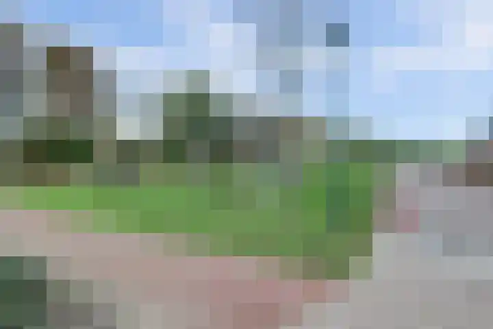 Koolhof 8 Hulsel thumbnail 43