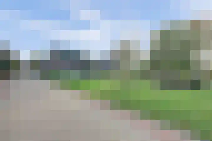 Koolhof 8 Hulsel thumbnail 44