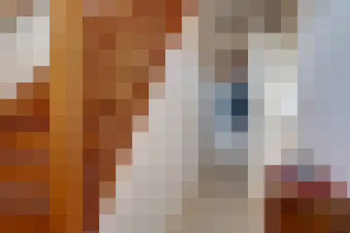 Koolhof 8 Hulsel thumbnail 5