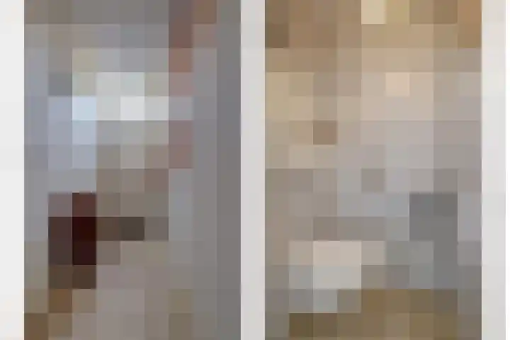 Koolhof 8 Hulsel thumbnail 6