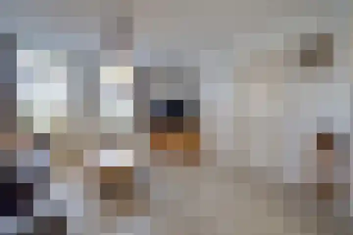 Koolhof 8 Hulsel thumbnail 8