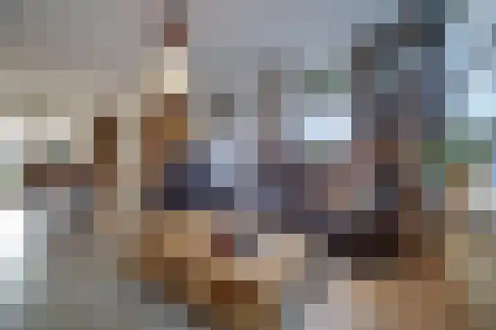 Koolhof 8 Hulsel thumbnail 9