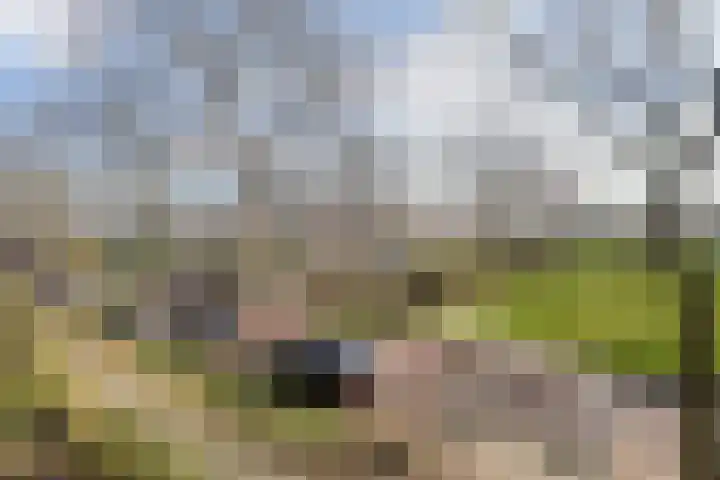 Koolhovenlaan 11 Den Haag thumbnail 17