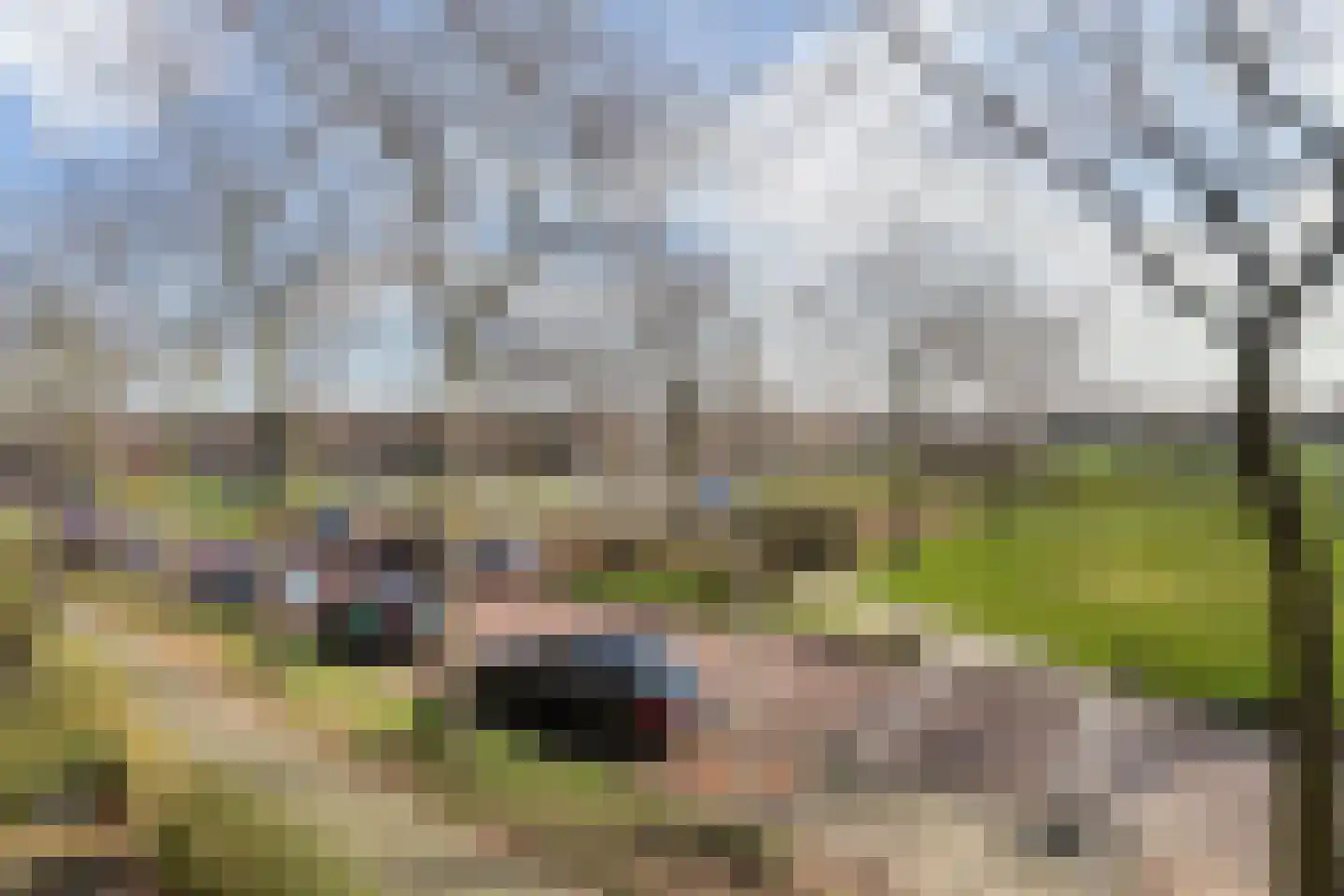 Koolhovenlaan 11 Den Haag thumbnail 17