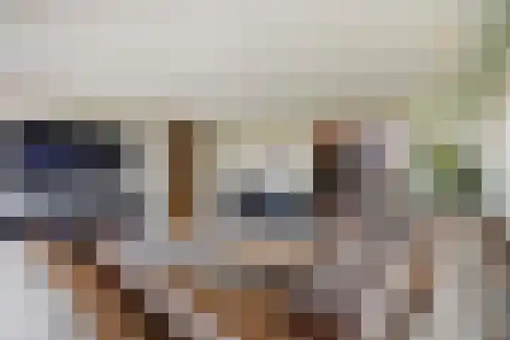 Koolhovenlaan 11 Den Haag thumbnail 21