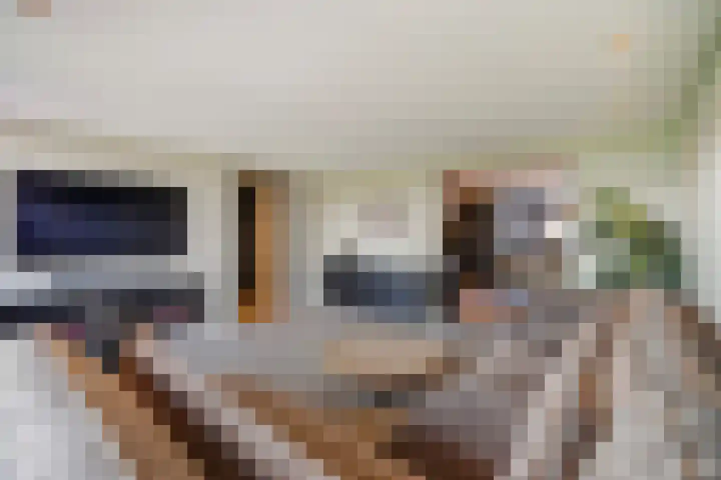 Koolhovenlaan 11 Den Haag thumbnail 21