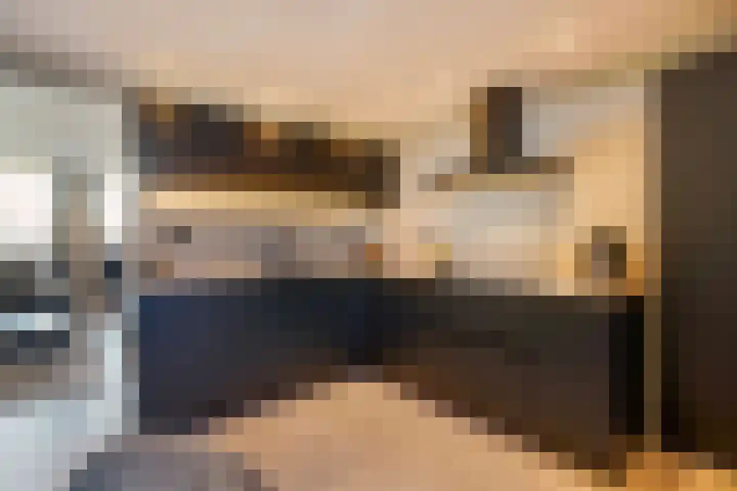 Koolhovenlaan 11 Den Haag thumbnail 24