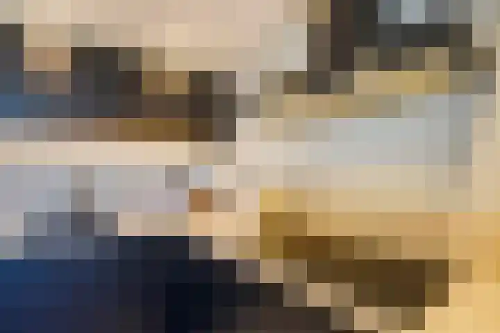 Koolhovenlaan 11 Den Haag thumbnail 25