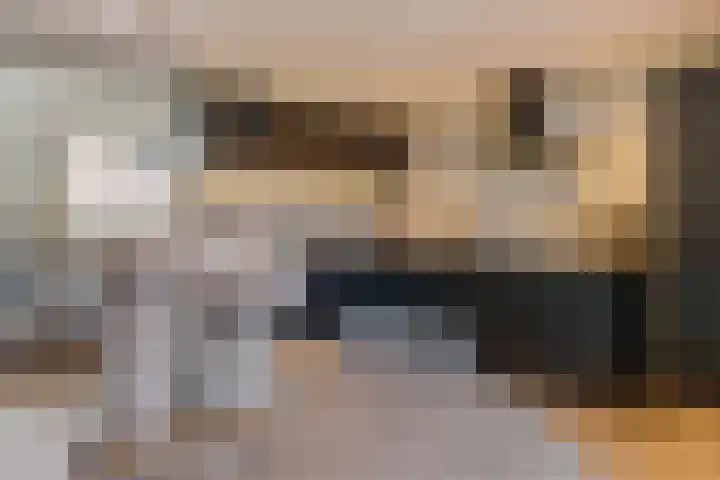 Koolhovenlaan 11 Den Haag thumbnail 26
