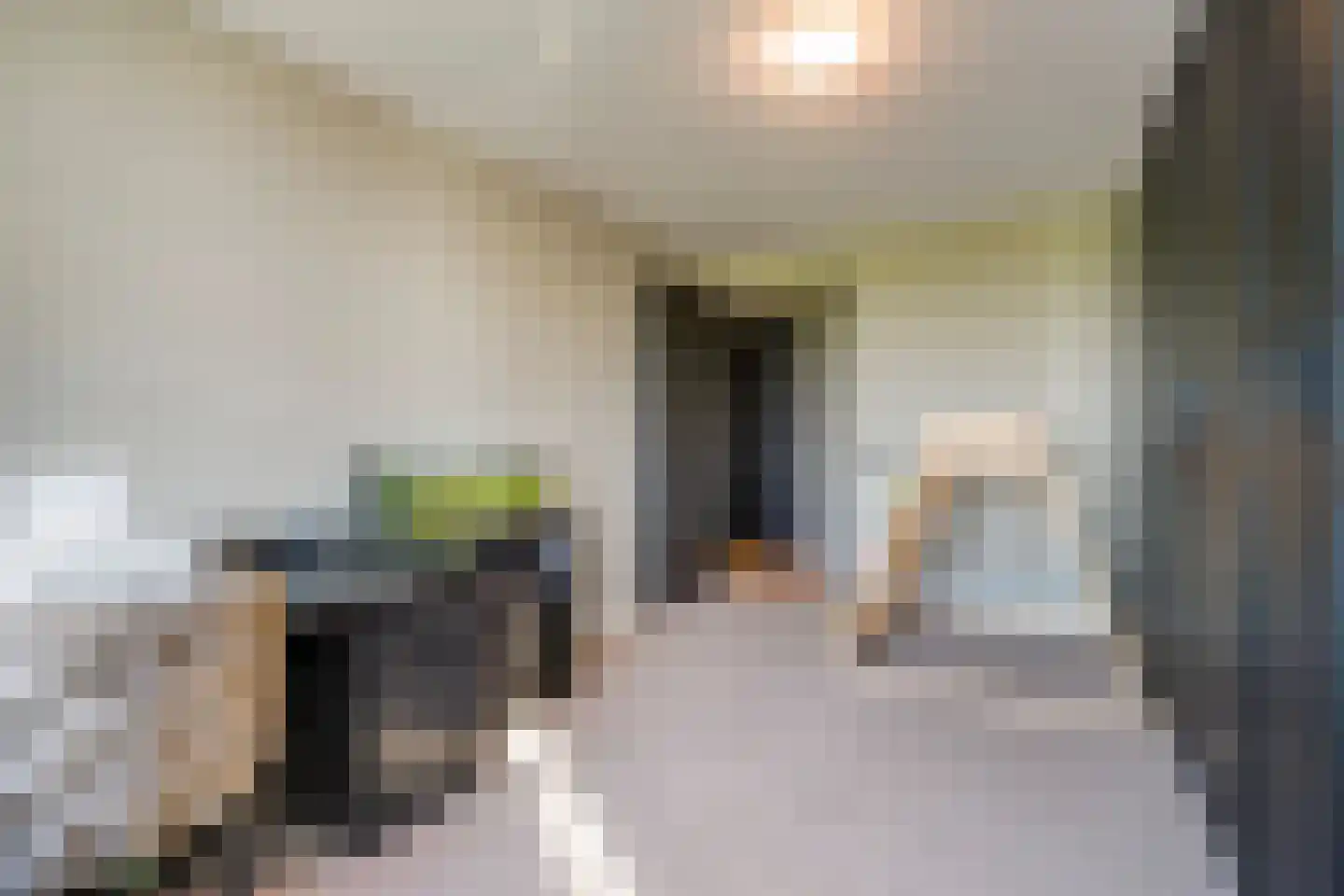 Koolhovenlaan 11 Den Haag thumbnail 29