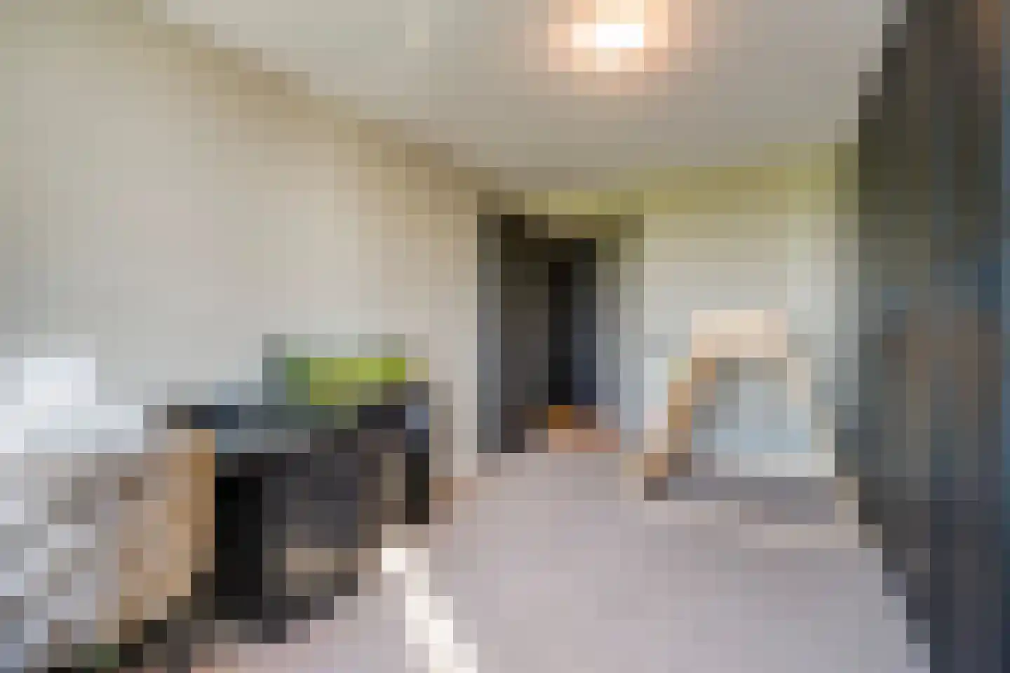 Koolhovenlaan 11 Den Haag thumbnail 29